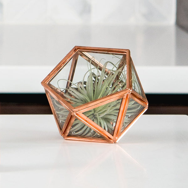 Small Glass Geometric Terrarium Style Ring Box