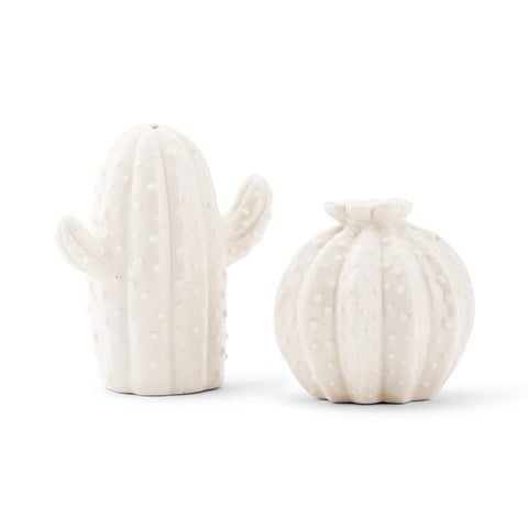 Novelty Cactus Salt & Pepper Shakers