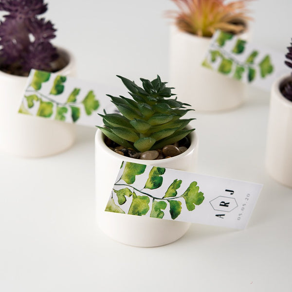 Small Faux Succulent Plants - Set Of 6