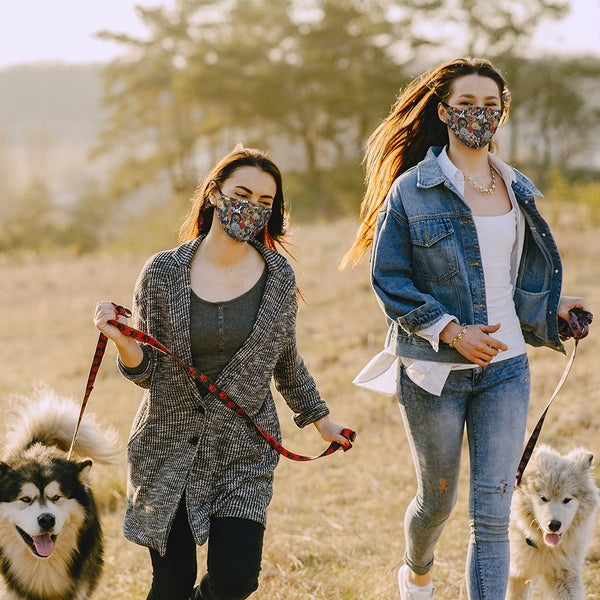 Adult Reusable, Washable 3 Ply Cloth Face Mask With Filter Pocket - Puppy Dog Print