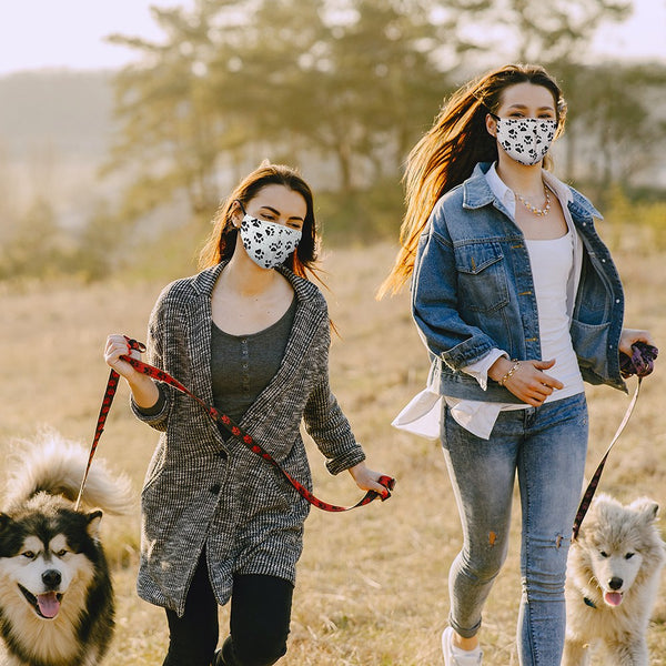 Adult Reusable, Washable 3 Ply Cloth Face Mask With Filter Pocket - Paw Prints