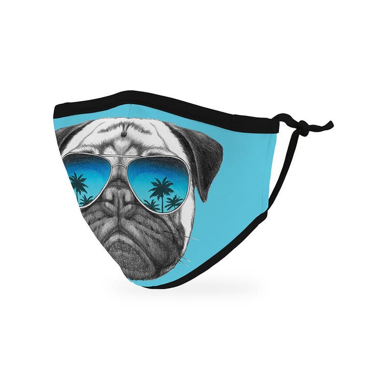 Kid's Reusable, Washable 3 Ply Cloth Face Mask With Filter Pocket - Shades Pug