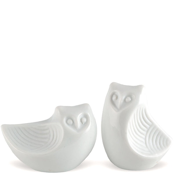 Ceramic Owl Salt And Pepper Shakers Gift Boxed