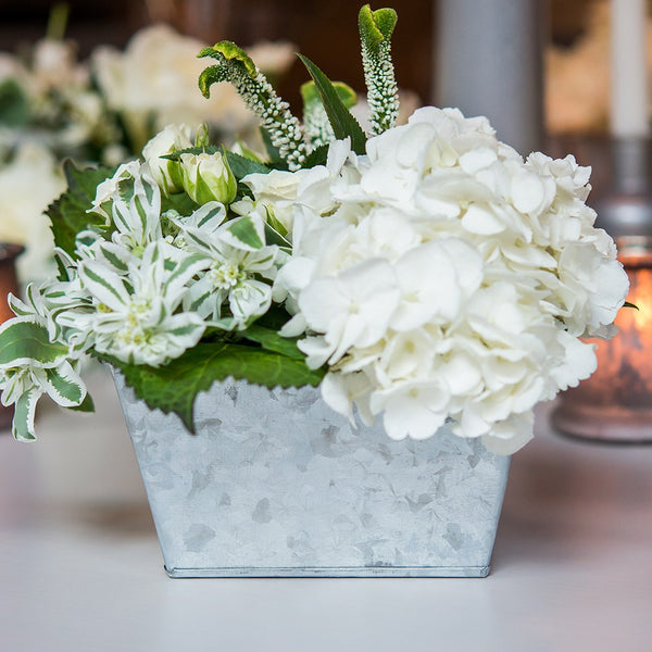 Galvanized Tin Rectangular Planter